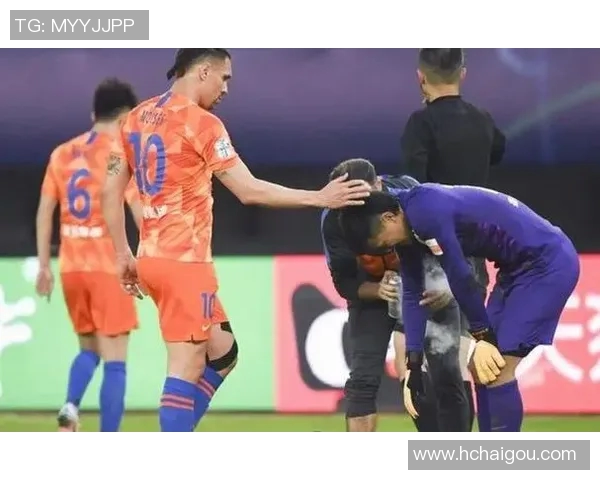 2019年12月鲁能与国安比赛中裁判的身份及其影响分析